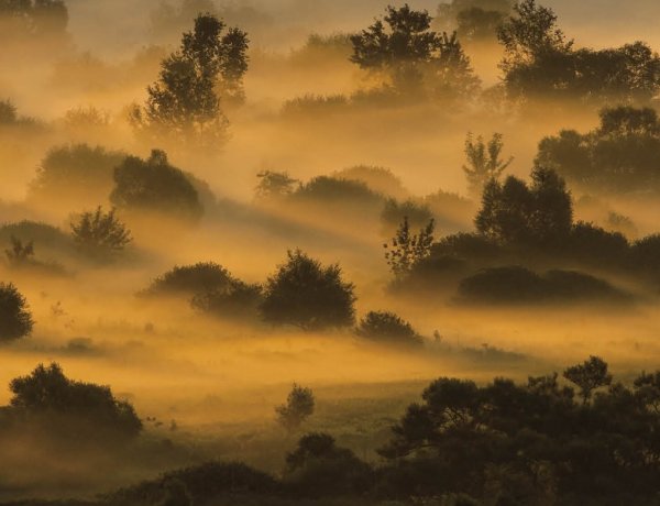 „Boldog órák szép emlékeképen..." - Zsila Sándor fotóművész kiállítása Nyíregyházán