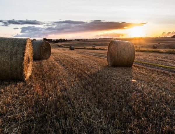 Zavartalan napsütéses időre számíthatunk, csapadékra kicsi az esély
