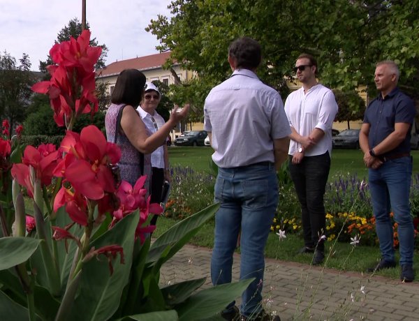 Virágos Város pályázat – Kihirdette a nyerteseket a NYÍRVV  