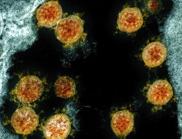 Hatékonynak bizonyult az ózon a vírus semlegesítésében                 