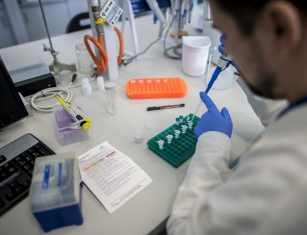 ITM: hatékonyan támogatják a védekezést a kutatás-fejlesztési projektek