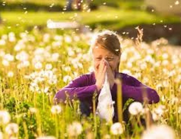 Az allergiások rémálma: csúcson a pollen koncentrációja     