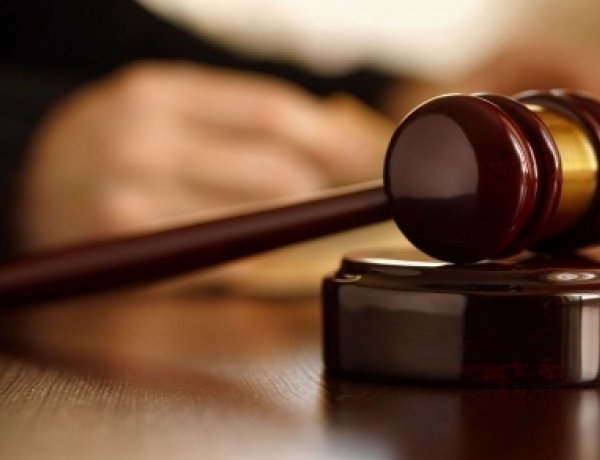 Csomagtartójába tette az elütött őzet, hazavitte és feldolgozta