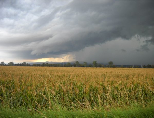 Zivatarokkal búcsúzik a nyár: késő délutántól esős időjárás várható