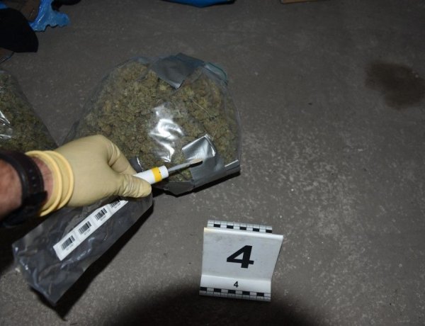 Kábítószerrel kereskedett Nyíregyházán – A szabolcsi rendőrök a TEK segítségével fogták el