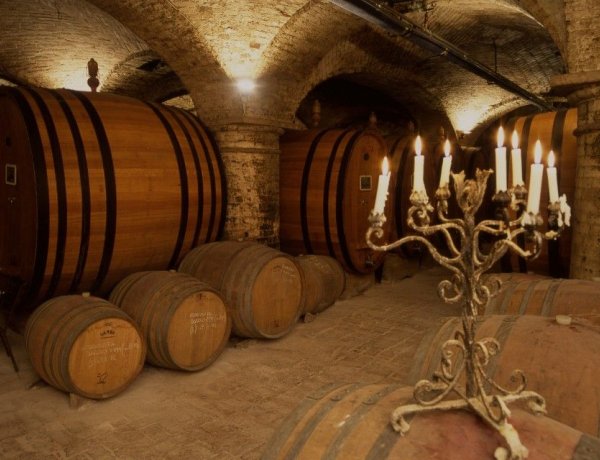 Megyei Katasztrófavédelem: a szüret veszélye a mustgázmérgezés