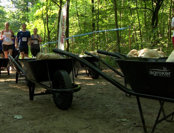 Élménypróba - 22 különleges akadály várta a nevezőket a sóstói erdőben