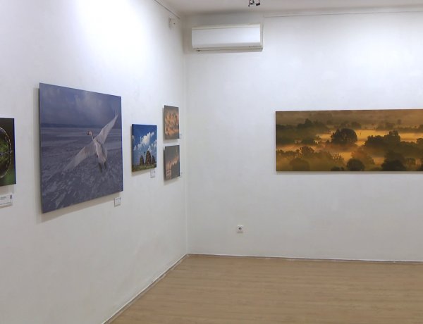 Zsila-fotók a galériában: „Az én műtermem a természet”        