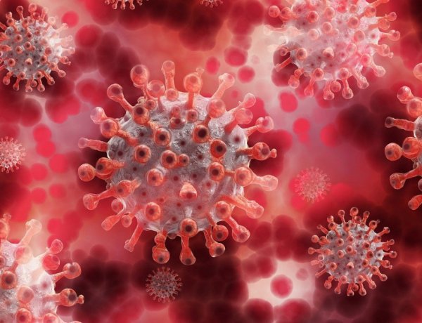 Hanyatt vágott a hír: koronavírusos lettem - Próbálok nem gondolni a rossz dolgokra