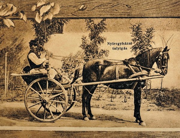 Amiről az utcák mesélnek... - A nyíregyházi taliga, avagy a kétkerekű nyírségi bárka