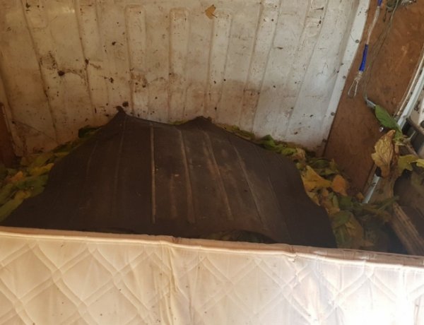 Dohányt találtak az autóban a rendőrök Nyíregyházán           