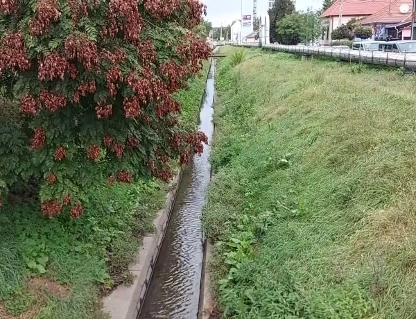 Tisztítási munkákat végez a FETIVIZIG az Ér folyó Nyíregyházán átvezető szakaszán