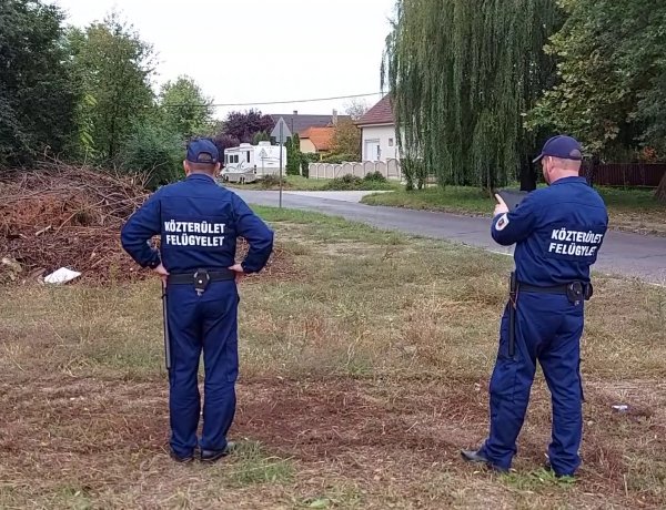 Több köbméternyi illegálisan lerakott zöldhulladékról érkezett bejelentés