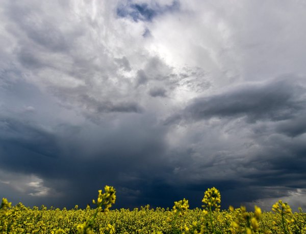 „Vágtatva kavarog sok sötét felhő” – Alig lesz látható az ég
