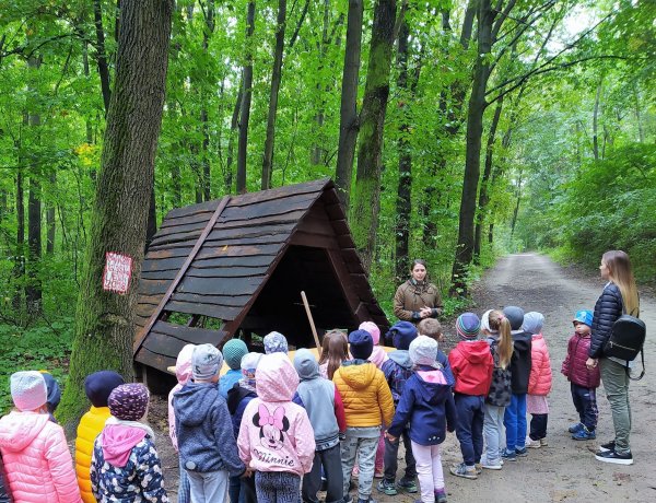 Az erdővel ismerkedhettek kicsik és nagyok egyaránt                    