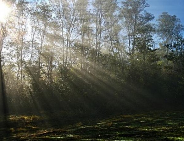 Ára van az egy napra visszatérő nyárnak - Melegrekord is dőlhet
