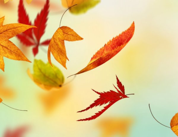 Országos Meteorológiai Szolgálat: az ősz még a kellemes arcát mutatja