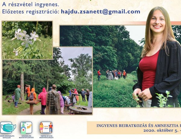 Országos Könyvtári Napok - Gyógynövénytúra a Sóstói-erdőben 