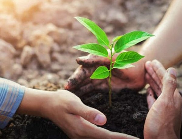 Országos Könyvtári Napok - Faültetéssel egybekötött rendhagyó természetrajz óra 