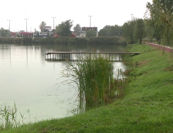 Haltelepítés a Bujtoson – 1400 kilogramm ponty került a tóba szerda reggel