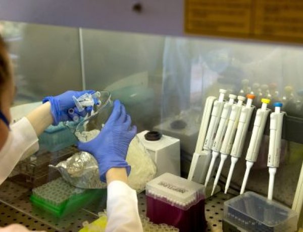 NNK: megkezdődött az antigénalapú gyorstesztek összehasonlító vizsgálata