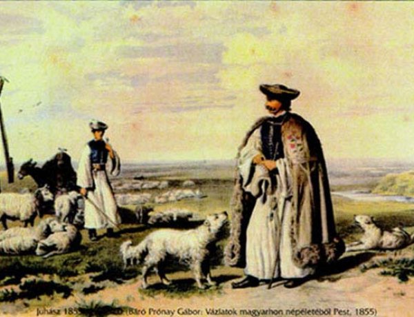 Pásztorforgatag a Múzeumfaluban  - Hamisítatlan őszi vásári hangulat várja az érdeklődőket