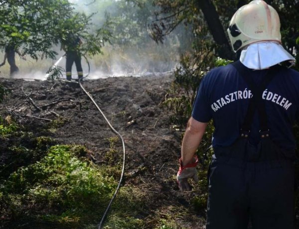 A kerti hulladék és avarégetés tiltása melletti tanácsok közös érdekünkben
