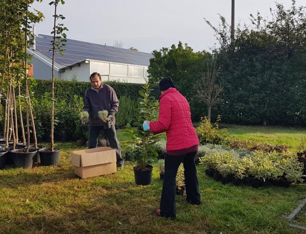 Ültess egy fát a holnapért! – Átadásra kerültek a növények  