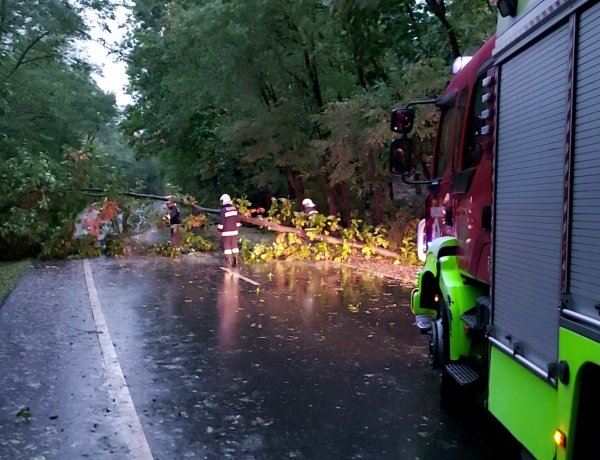 Egy nagy fát borított a Sóstói útra az erős, viharos szél szerdán kora reggel