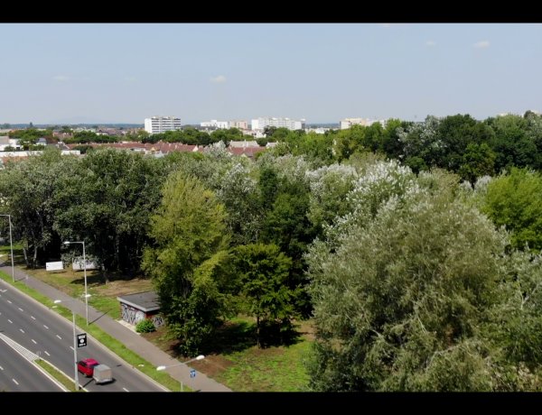 „Kiserdők” a belvárosban                                      