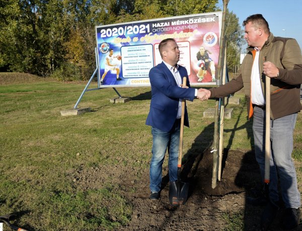 70 darab facsemetét ültettek el a Tüzér utcán – Folytatódik a nagyszabású fásítási program