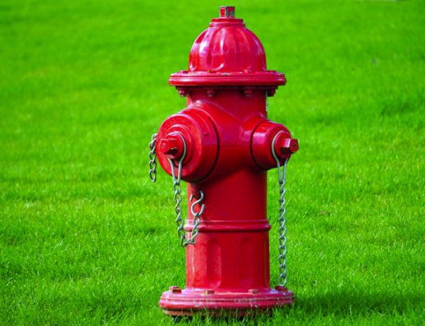 Tűzcsapnak és villanyoszlopnak ütközött egy személyautó     