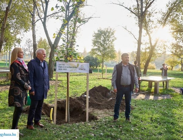 Faültetés Sóstón – Mintegy 500 darab fával bővül a városrész zöldfelülete