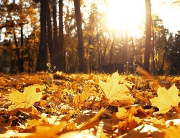 Napsütéssel köszönt be a november - 15 fok is lehet napközben