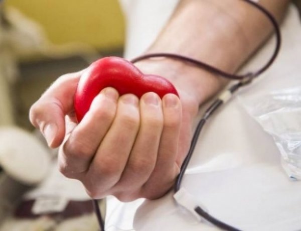 Idén ősszel is elindította a fiatalokat megszólító kampányát a Magyar Vöröskereszt