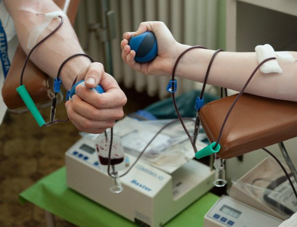 Őszi véradókampány – A fiatalokat próbálja megszólítani a Magyar Vöröskereszt