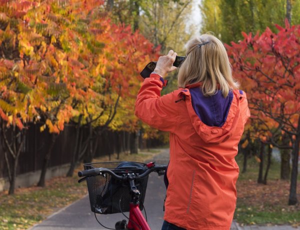 Fényterápiának is jó lesz ez az őszi nap, gyengén felhős, napos időre számíthatunk