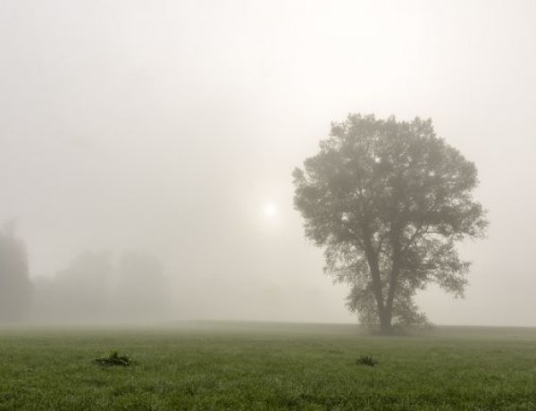 Országos Meteorológiai Szolgálat: sűrű köd teszi kellemetlenné a napot