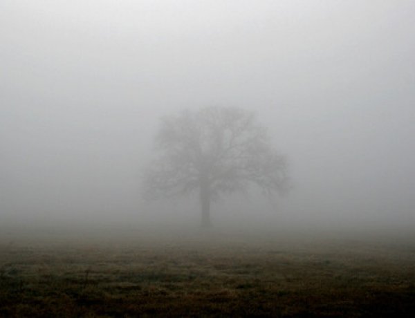 Országos Meteorológiai Szolgálat: ma sem szabadulunk a sűrű ködtől