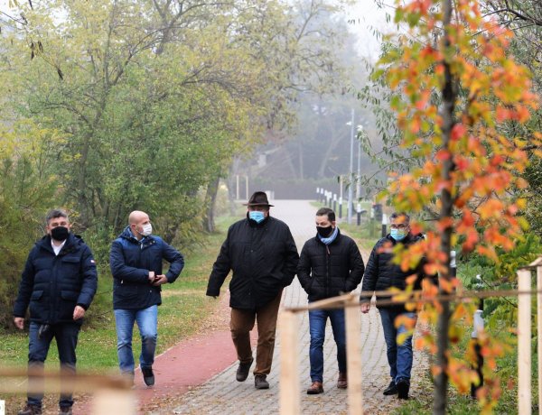 Folytatódik a faültetés Sóstón – Több mint száz fát ültettek az elmúlt napokban