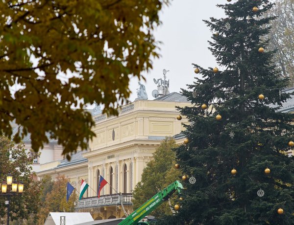 Elkezdték feldíszíteni Nyíregyháza karácsonyfáját - 3 kilométernyi fényfüzér kerül rá