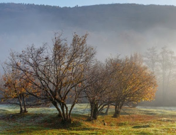 Száraz és napos késő őszi időben lesz részünk - Hideg levegő áramlik a Kárpát-medencébe