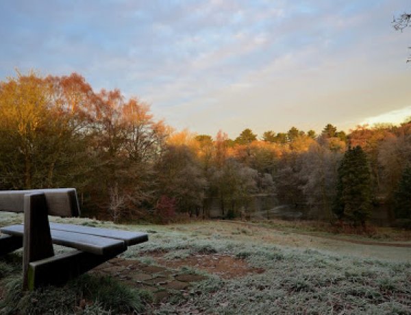 Vasárnapra virradóan országszerte kemény fagyokkal indult a nap 