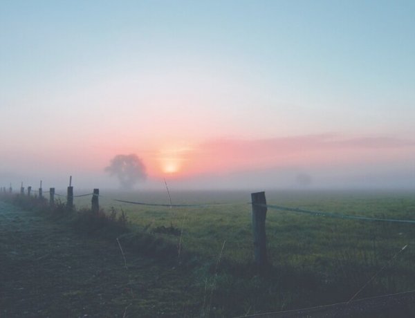 Országos Meteorológiai Szolgálat: az ország több része is ködfátyolba borul