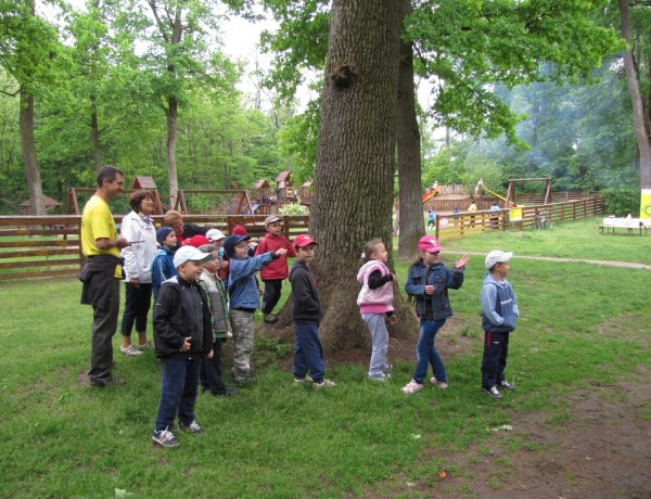 Az erdők védelméért az erdőjárók is sokat tehetnek – hat jó tanács közös értékünkért