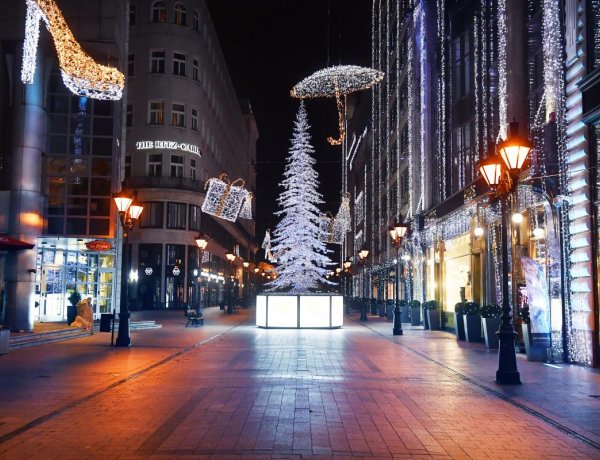 Tudatos vásárlásra kéri a lakosságot az országos tisztifőorvos