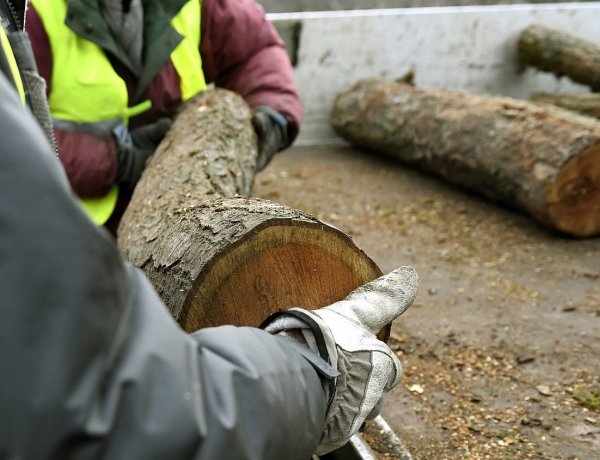 Elindult a szociális tűzifa program – 5 mázsa tüzelőanyagot kaphatnak a családok