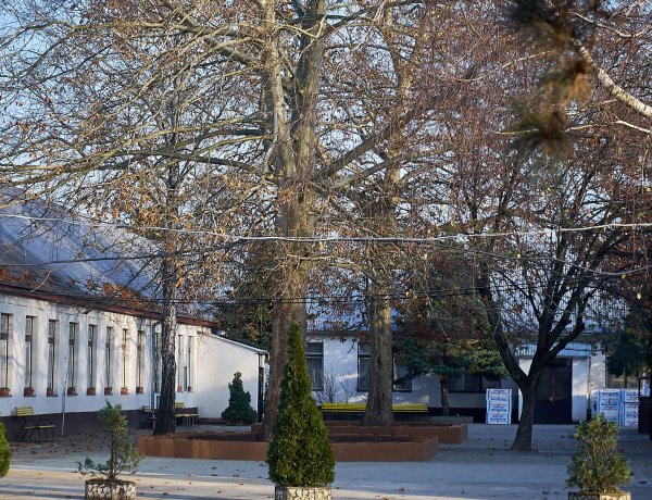 Megújul a Szabó Lőrinc iskola:  bio iskolakert és kisállat simogató is lesz!