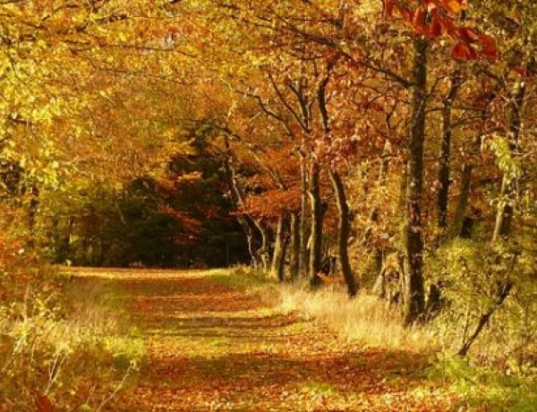 Az ország nagy részén napos, fátyolfelhős idő várható - Csapadék nem valószínű