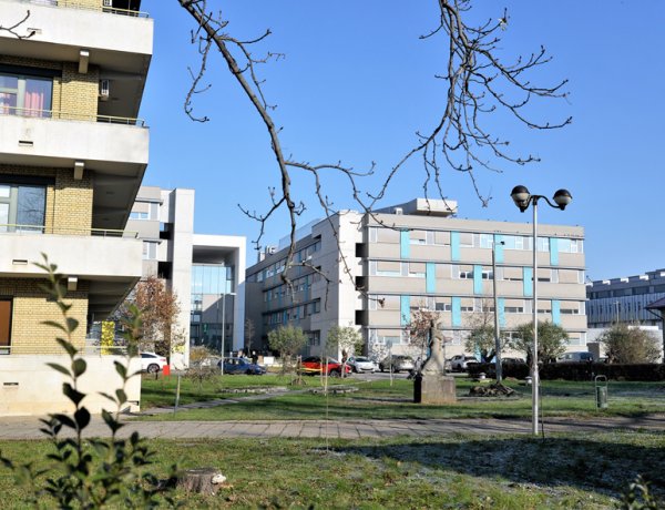 Az év megyei kórháza lett a miénk - Kiváló Megyei Kórház 2020 címet kapta